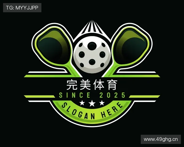 了解完美体育app网页版入口